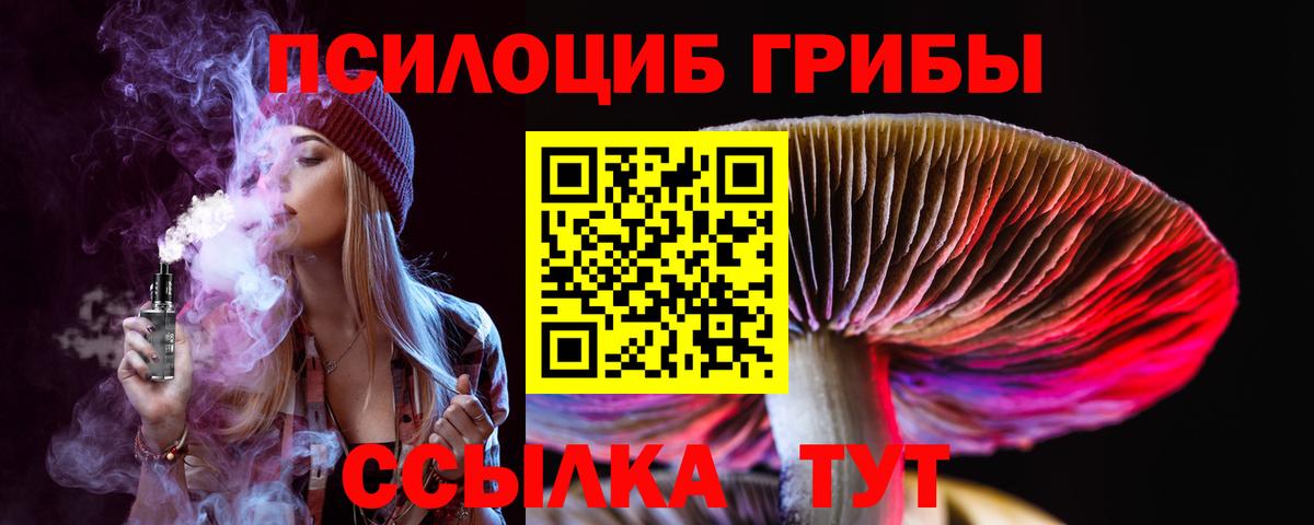 Псилоцибиновые грибы Cubensis  Вход с VPN  Большой Камень 