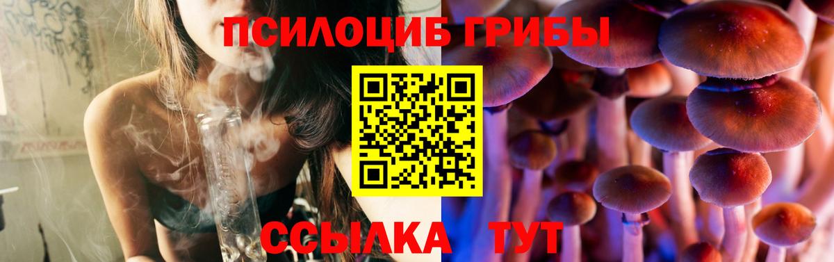 Галлюциногенные грибы ЛСД Большой Камень